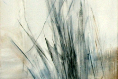Gräser (0081)